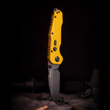 Evolution Ironclad |3.8"D2 Blade| Steel Frame & G10 | Blackwashed