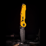 Evolution Ironclad |3.8"D2 Blade| Steel Frame & G10 | Blackwashed