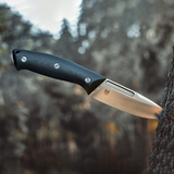 Gardarik| Elmax | Ivan D. Braginets Design